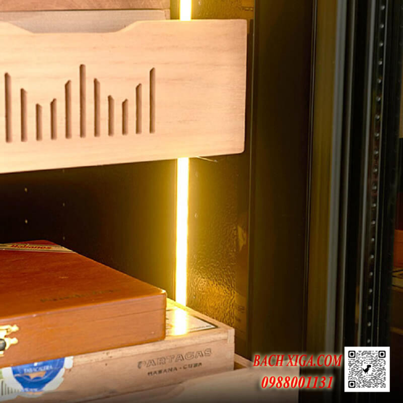 Hệ thống đèn led chiếu sáng hiện đại.