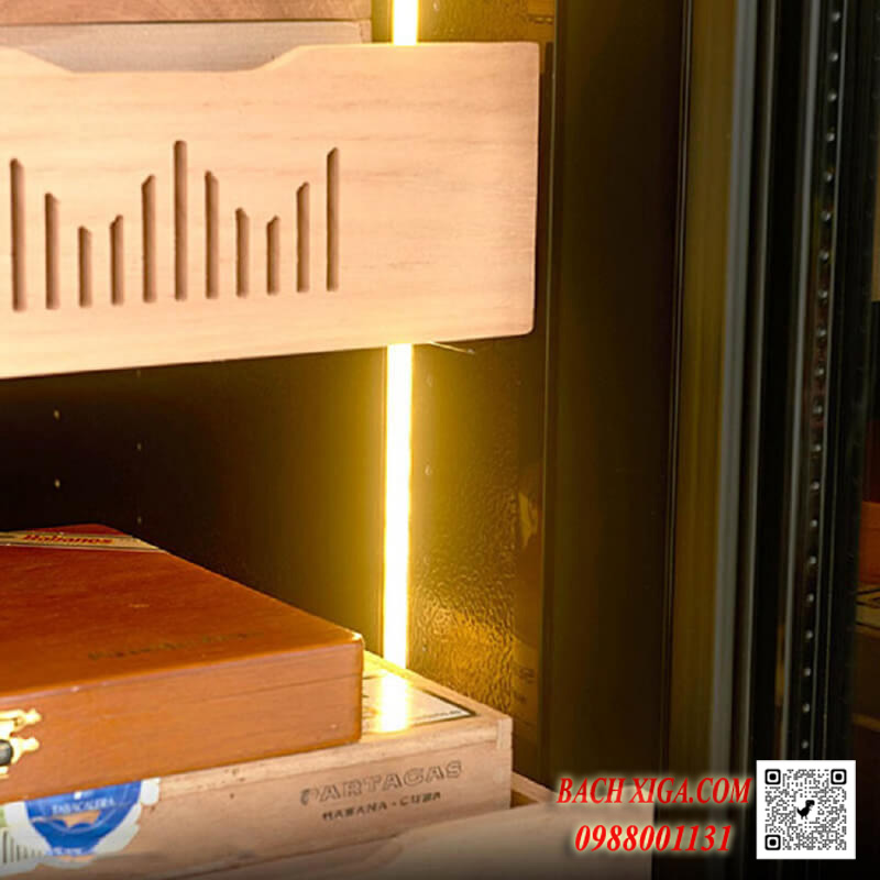 Hệ thống đèn Led chiếu sáng sang trọng.