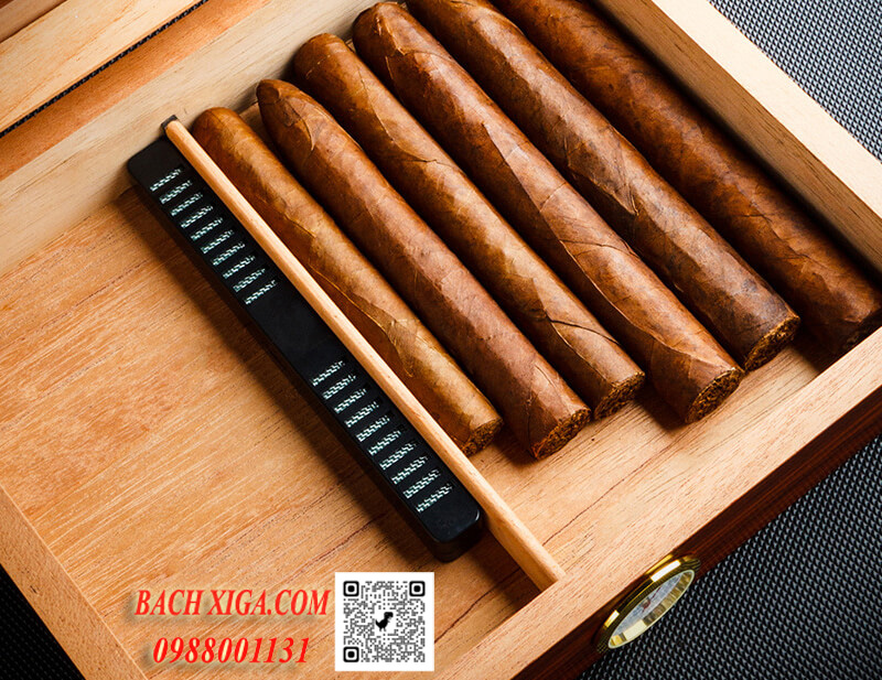 Khay gỗ tuyết tùng cao cấp